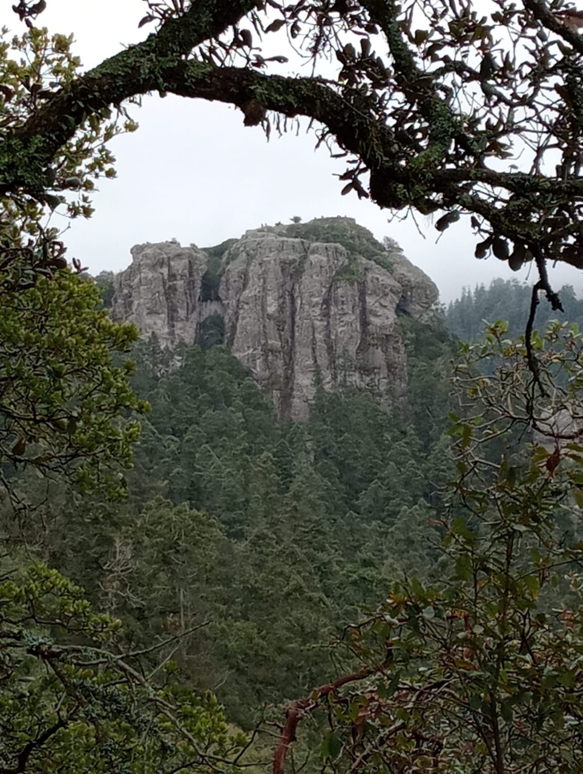 Peña del Cuervo entre árboles y montañas